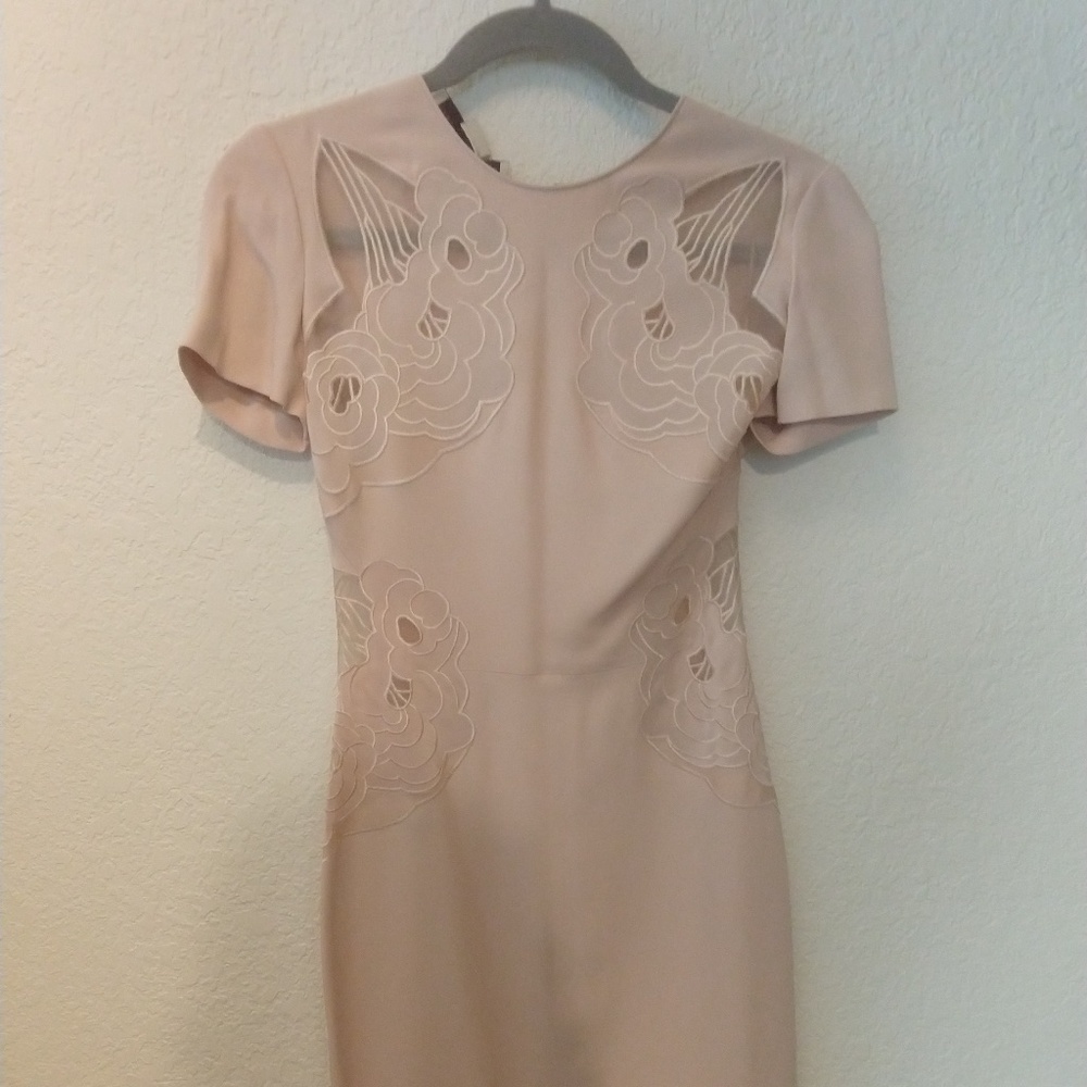 NWT! $3000 Stella McCartney Blush Dress w/Floral Appliqué & Sheer Inserts Sz36IT